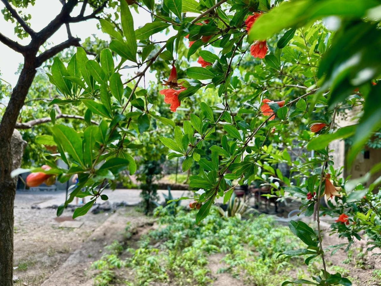 יירבאן Cosy Studio With Beautiful Garden מראה חיצוני תמונה